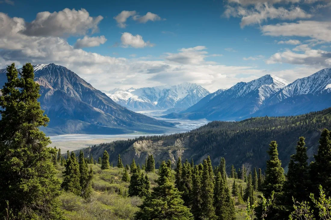 Paisagem montanhosa no conceito de website Sereno